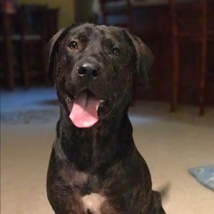 Meet your Posher, Teresa